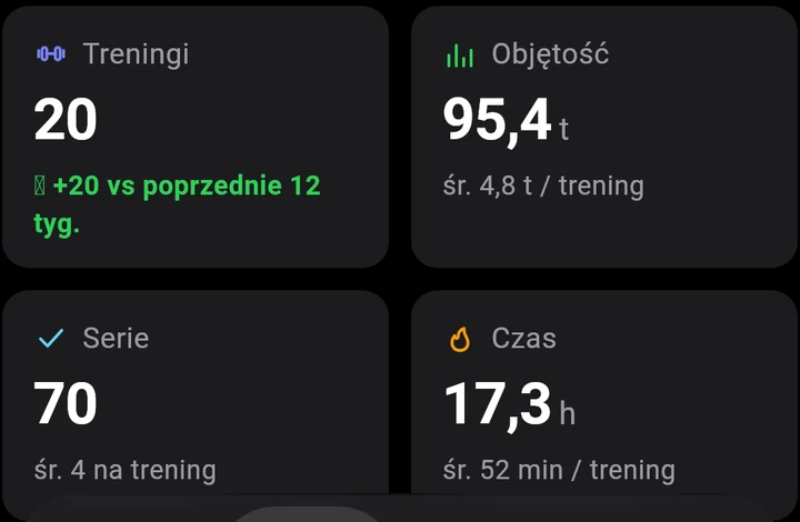20 treningów, 95,4 t objętości, 70 serii, 17,3 h